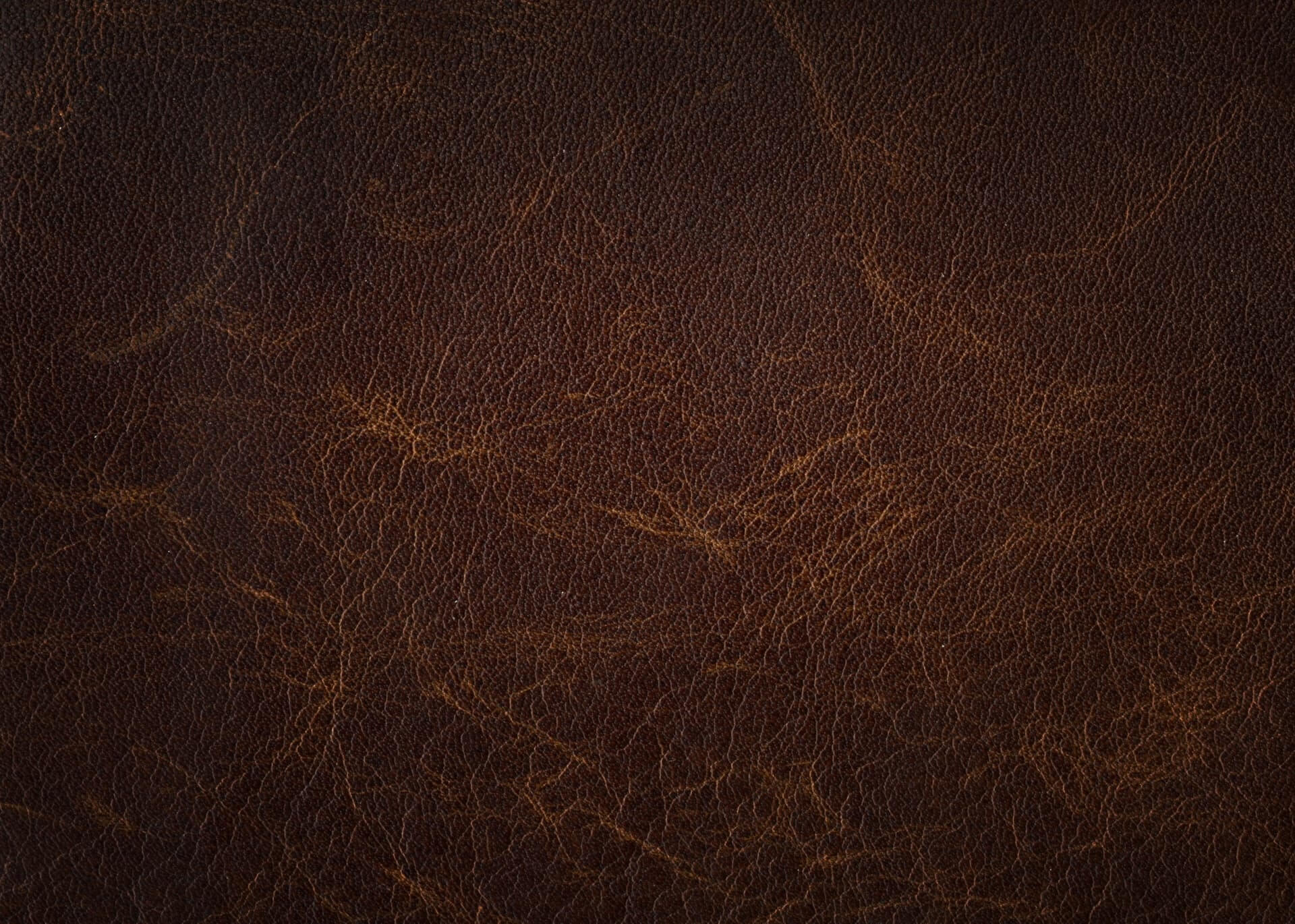 Textured close-up, presenting rich shades of brown and intricate, subtle lines anime wallpaper, 4K