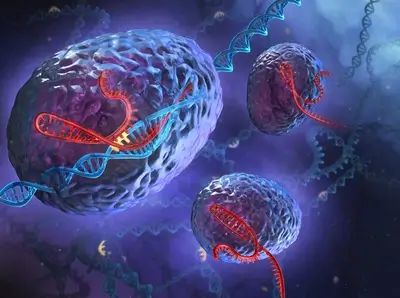 DNA strands entering cell nucleus