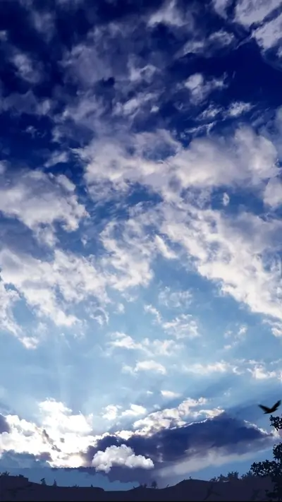 Dramatic sunset sky cloudscape with silhouettes