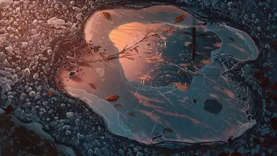 Frozen puddle reflecting sunset sky