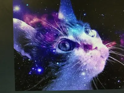 Galaxy cat art