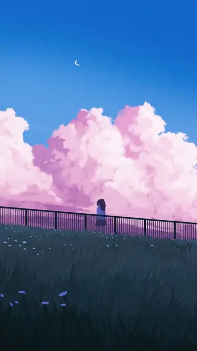 Girl standing by fence, pink clouds in the sky