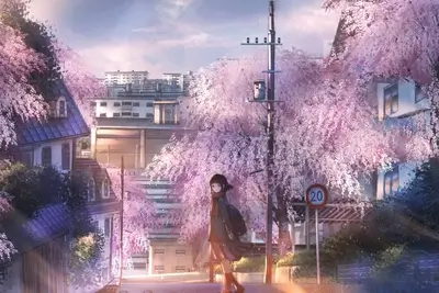 Girl walking down a street lined with cherry blossoms