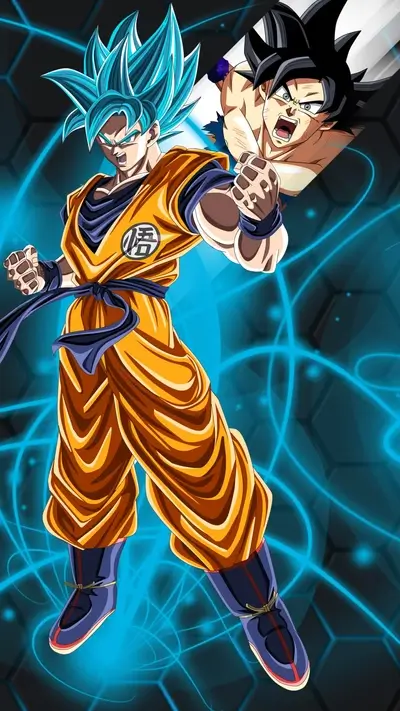 Goku Super Saiyan Blue and Goku Black