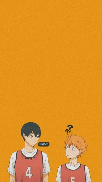 Haikyuu!! characters Kageyama and Hinata in confusion