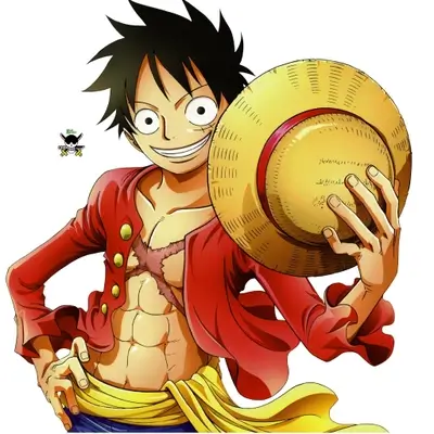 Monkey D Luffy smiling while holding his straw hat