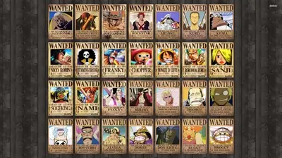 One Piece wanted posters collage