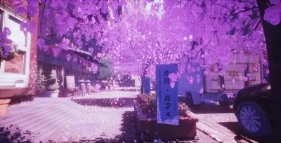 Purple cherry blossoms falling on a city street