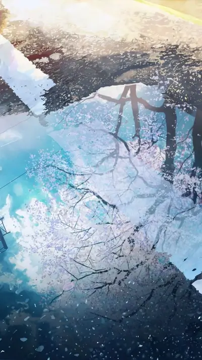 Reflection of cherry blossoms in a puddle