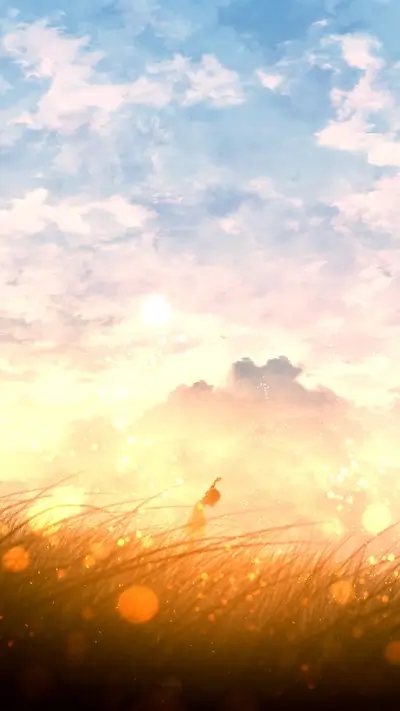 Silhouette of a person in a field during sunset