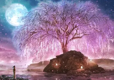 Solitary figure under a weeping cherry blossom tree
