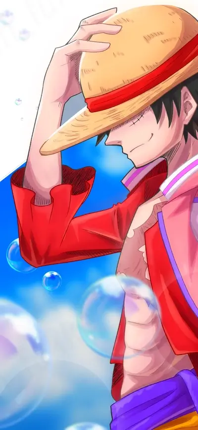 Straw Hat Luffy, bright background