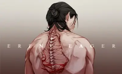 Stripped back exposed spine, musculature and blood vessels anatomy on display