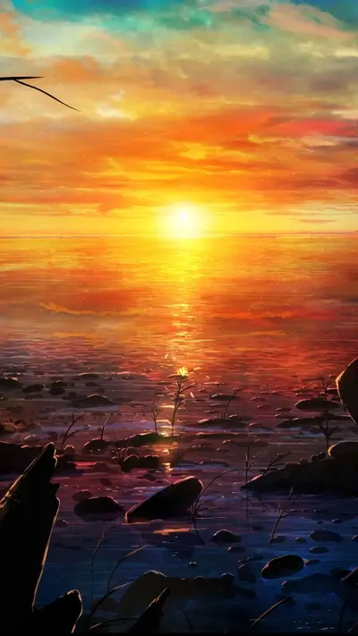 Sunset over a rocky shore, single flower in the foreground