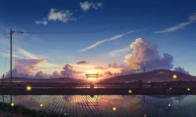 Sunset over rice paddies with torii gate
