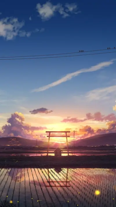 Sunset over rice paddies with torii gate