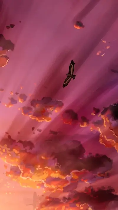 Sunset sky with a bird flying