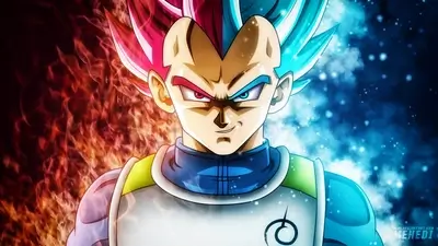 Super Saiyan Vegeta