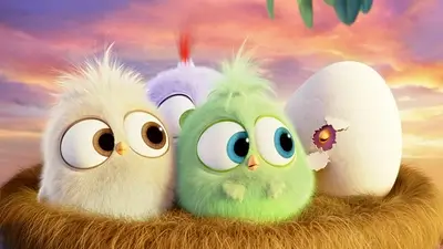 Three fluffy baby birds in a nest, one egg hatching