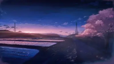 Tranquil sunset over rice paddies