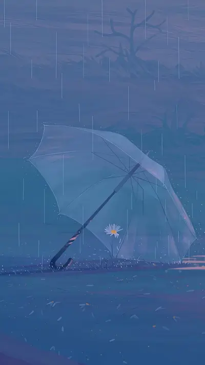 Transparent umbrella shielding a single daisy during a rain shower
