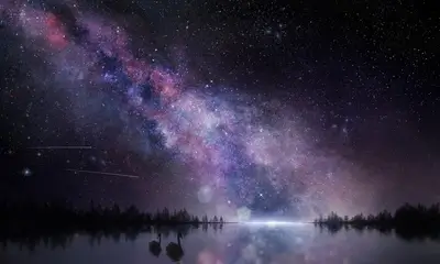 Two swans on a lake under a starry night sky