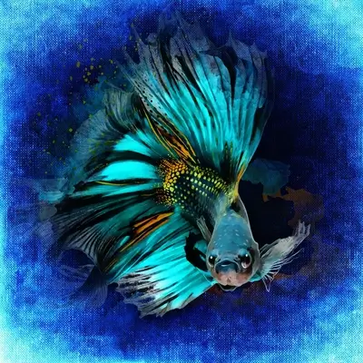 Vibrant betta fish, watercolor style, blue background