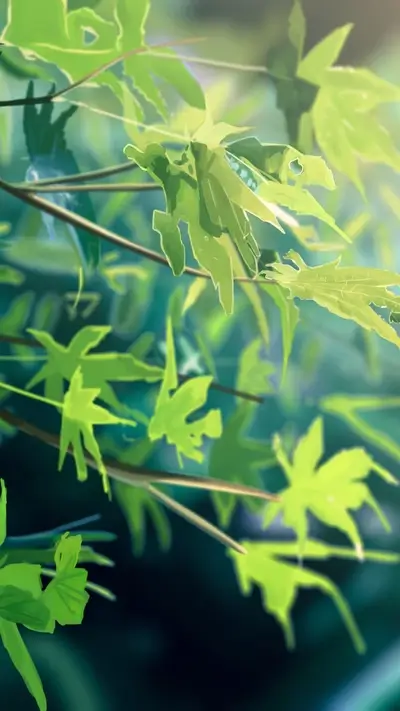 Vibrant green maple leaves and branches, sunlight filtering through, creating a natural, luminous scene