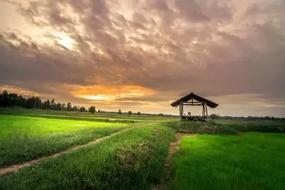 Wooden shelter in a green field under a dramatic sunset sky